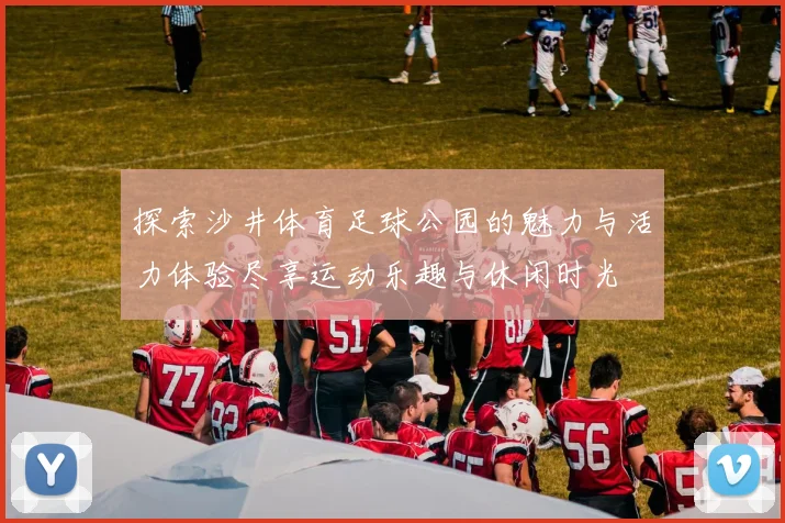 探索沙井体育足球公园的魅力与活力体验尽享运动乐趣与休闲时光