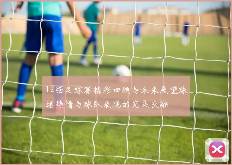 12强足球赛精彩回顾与未来展望球迷热情与球队表现的完美交融