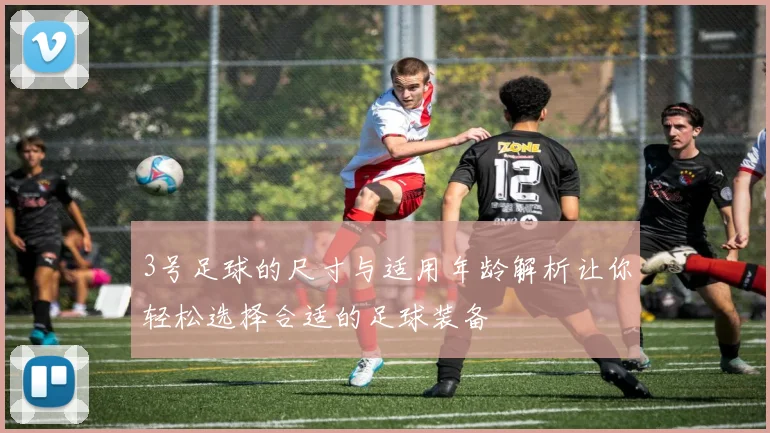 3号足球的尺寸与适用年龄解析让你轻松选择合适的足球装备