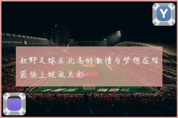 狂野足球东北虎的激情与梦想在绿茵场上绽放光彩